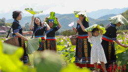 八面山瑶族乡：民族团结与乡村振兴同频共振