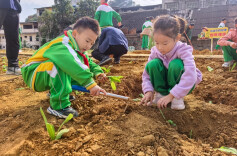 变身小菜农！湘西州砂子坳小学这堂劳动课“接地气”