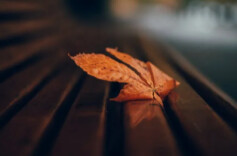 人这一生，别总在等！