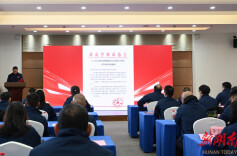 开启湖湘“匹克板网”新篇章 省网协匹克球板式网球工作委员会在长揭牌