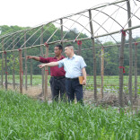 普惠走访 整村授信 湖南农信不断提升农村综合金融服务质效