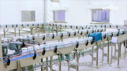 长沙织密特殊食品“防护网”