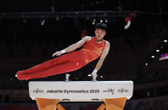 体操世锦赛：中国小将洪延明首次参赛即夺金