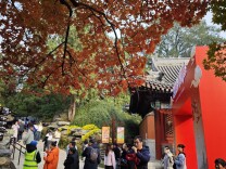 香山公园迎来首个赏红叶高峰日
