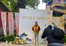 桐乡市集丰富游客消费，京津冀豫菊花联展不仅能赏，还能品