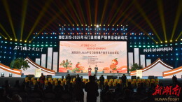 “石门柑橘”甜了客人 甜了乡亲