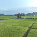 宁远：“一山一城”绘就生态惠民新图景