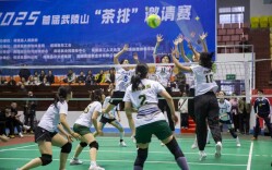 首届武陵山“茶排”邀请赛超燃