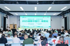 2025湘粮中国行·海南站专场举办  预计总成交额4.33亿元