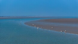 中国鸟类保护成果显著 濒危物种种群数量稳定增长