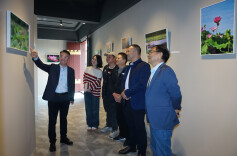 长沙市企事业文联联合长沙玉和醋文化博物馆举办“玉露荷风”摄影作品展