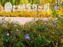 北京这座公园色彩斑斓，秋色正浓