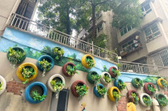 推窗见绿、出门入园！雨花启动“社区共建花园”建设……