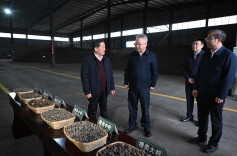 沈晓明调研张家界市经济社会发展情况