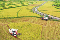 常德农商银行：识破骗局，成功守护客户资金安全