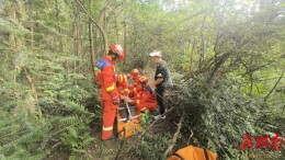 山林紧急救援！望城消防85分钟为受伤迷路老人开辟生命通道