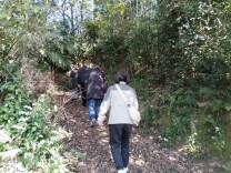 “服务送到家，心里暖暖的”——永顺县“上门评残”打通助残“最后一公里”