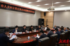 刘晓英率队到岳阳楼区调研审计查出问题整改工作