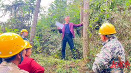 永顺县“双重”项目再发力，助力森林质量精准提升