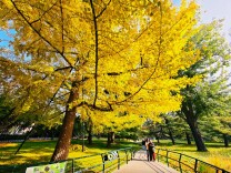 11月起，北京多个景点开放时间调整