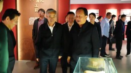 朱建平率队来湘调研