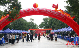 湖南工程学院应用技术学院联合下摄司街道开展精准就业对接会