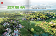 过渡期满话振兴