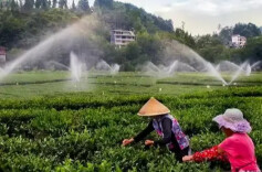 文化铸魂 绿色崛起——湘西州“十四五”高质量发展速写
