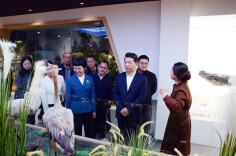 省生态环境厅党组书记廖良辉到岳阳调研生态环境保护工作