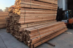 10月全国林业采购经理指数发布