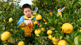 读报|11月5日《科教新报》速览