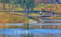 北京新增15公里游船航线！有望乘船去城市副中心