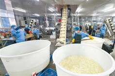 湖南发展林下经济点“绿”成“金”——在大山里“种”出好日子