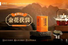 喜报｜“武陵红茯”荣膺第十届中华茶奥会斗茶大赛金奖