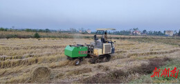 临湘黄盖镇：巧解秸秆难题 蹚出绿色新路