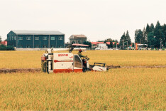 益阳：税有“粮”方 洞庭沃野好“丰”景