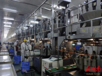 君山区助企“逐绿”前行 “童记三利和”跻身省级绿色制造榜单