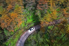 今日立冬丨湖湘山水染金叠彩，一半诗意一半烟火