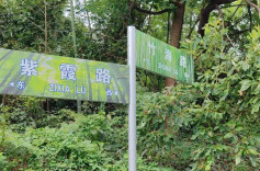 耒阳：以“地名之力”绘就城乡振兴新图景