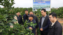 道县“产业+传播”双轨服务 为乡村振兴注入新动能