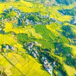 深化农业农村改革 赋能乡村全面振兴