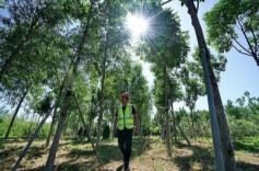 怀化护林员袁章清入选“全国十佳”，全省唯一！