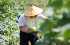 辛小湘丨对基层干部不妨少点“标签梗”