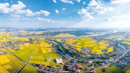 奋力谱写乡村全面振兴新篇章