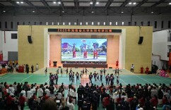 2025年湖南省大学生羽毛球比赛在湖南医药学院开幕