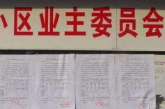 小区业委会改选开票前夜5个投票箱“失踪” 回应：选票作废并重启选举，涉事人员受到处分