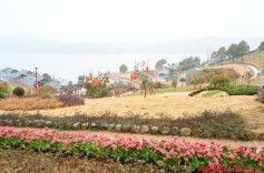 非凡“十四五”丨怀化奋力书写新时代“山乡巨变”