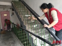 长沙桐荫里社区：邻里同心齐动手，老旧楼栋焕新颜