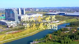 视频丨立足“首创+复制”双轮驱动，片区制度创新再谱新篇