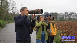 资兴：又是一年候鸟迁徙季 “新老朋友”来相会